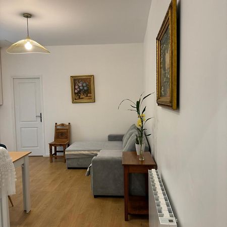 Appartement Meuble Tout Confort Chalon-sur-Saone Bagian luar foto
