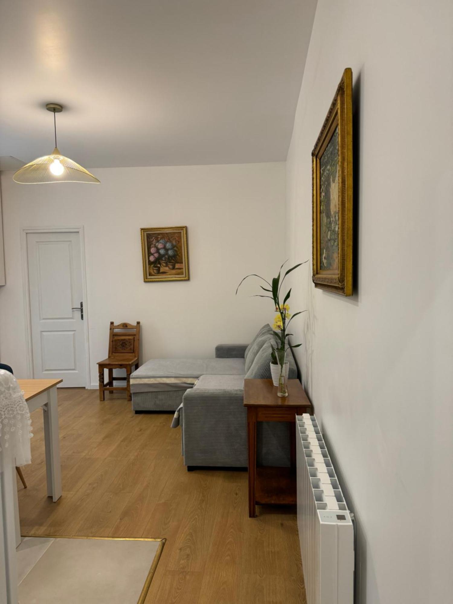 Appartement Meuble Tout Confort Chalon-sur-Saone Bagian luar foto